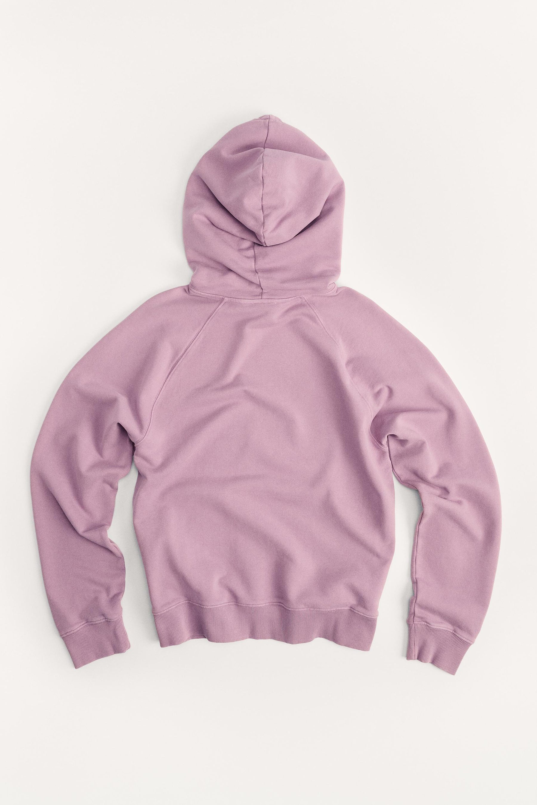 50TH ANNIVERSARY SWEATSHIRT