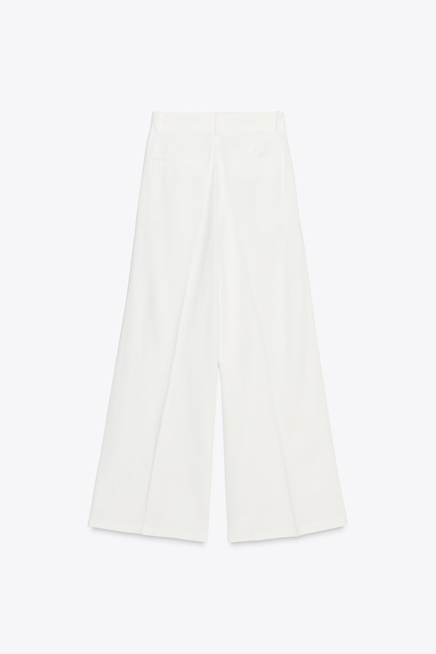 Pleated Trousers