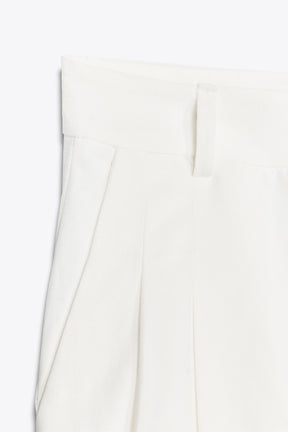 Pleated Trousers