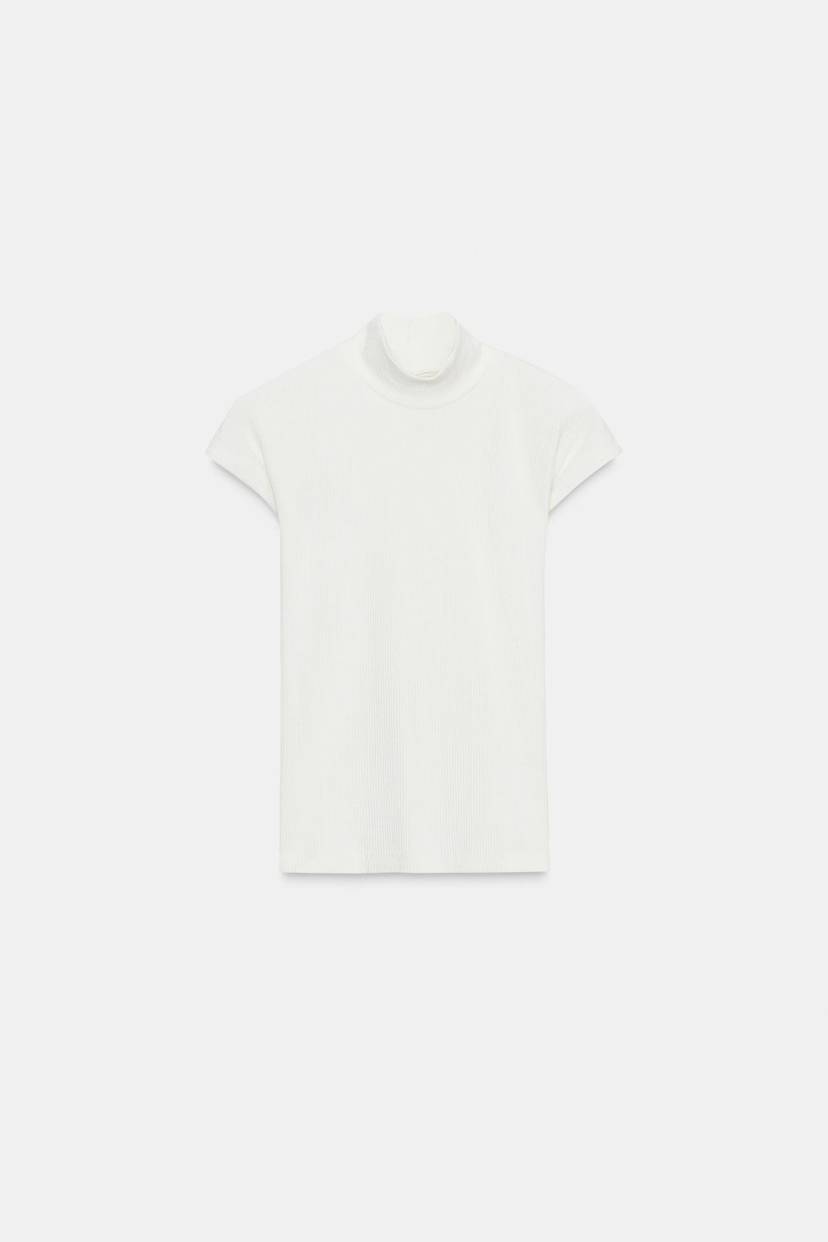 Rib Knit Short Sleeve