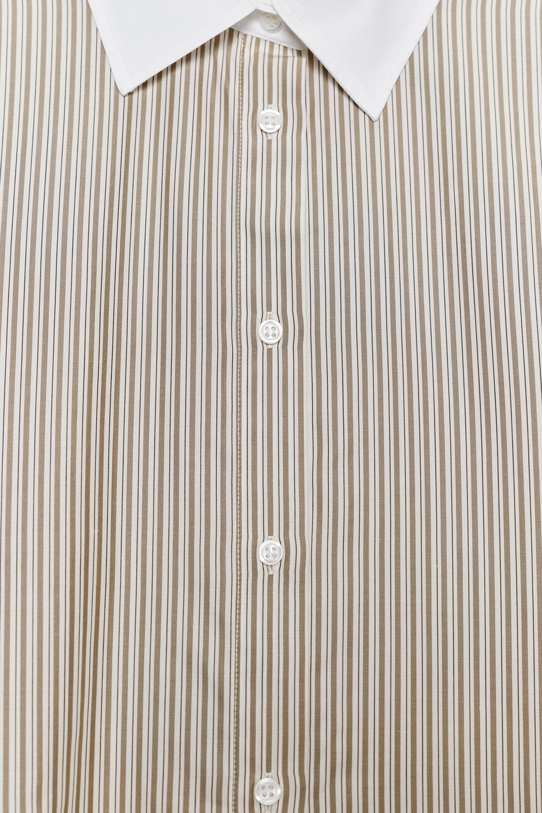 Contrast Striped Shirt