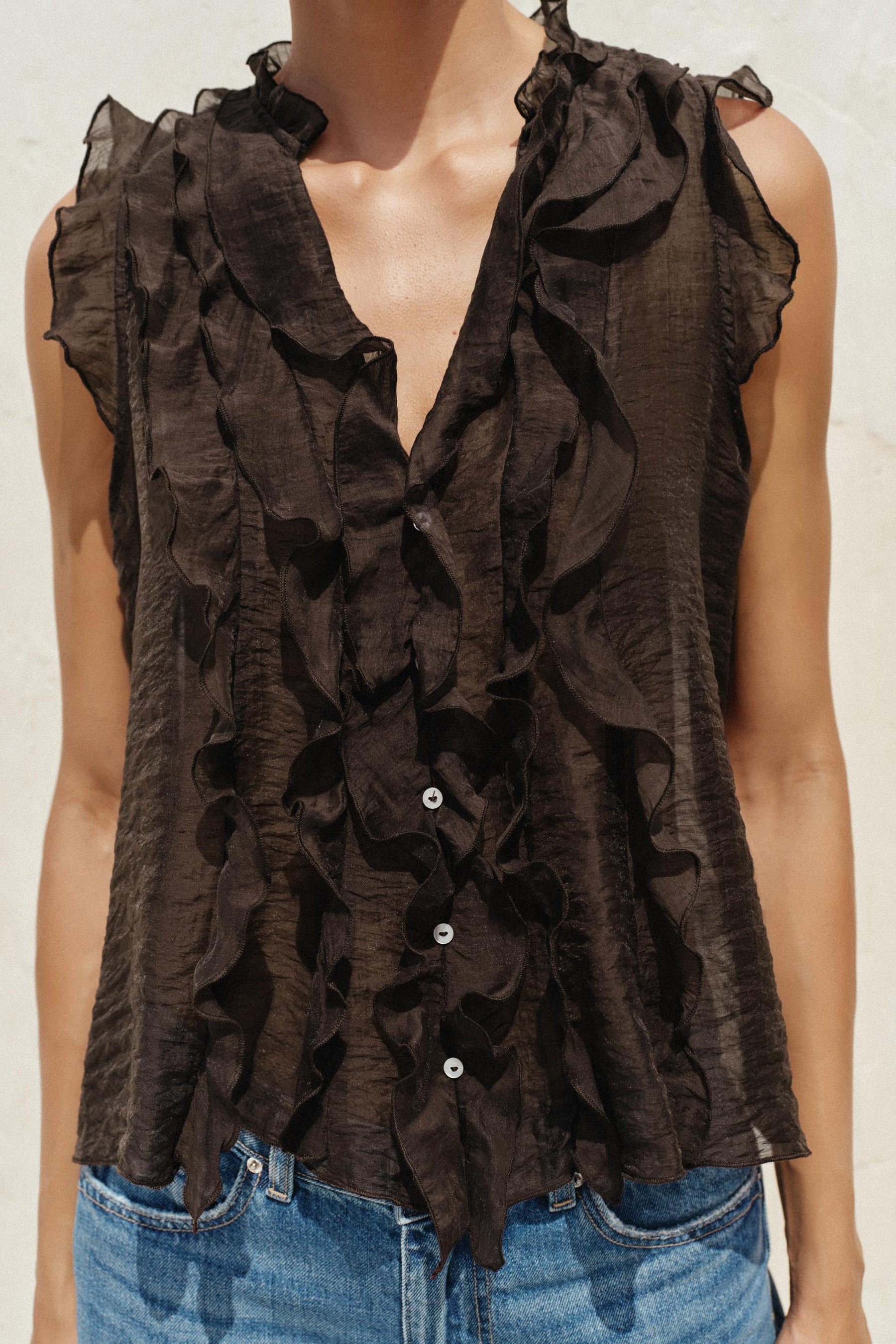 Ruffled Sheer Top