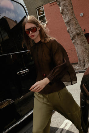 Puff Sleeve Sheer Blouse