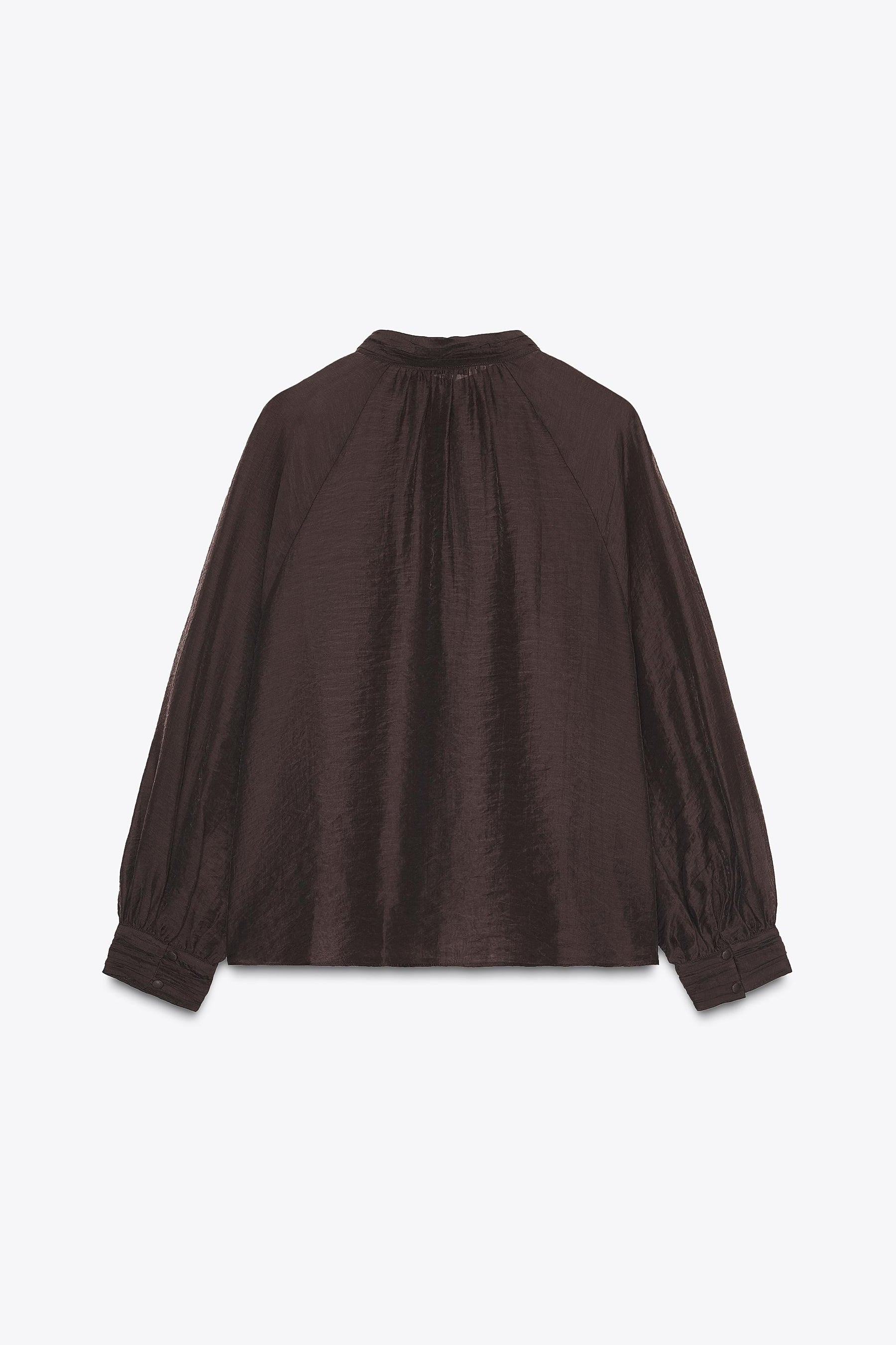 Puff Sleeve Sheer Blouse