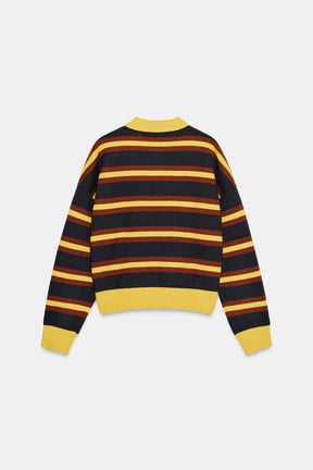Striped Knit Polo Shirt