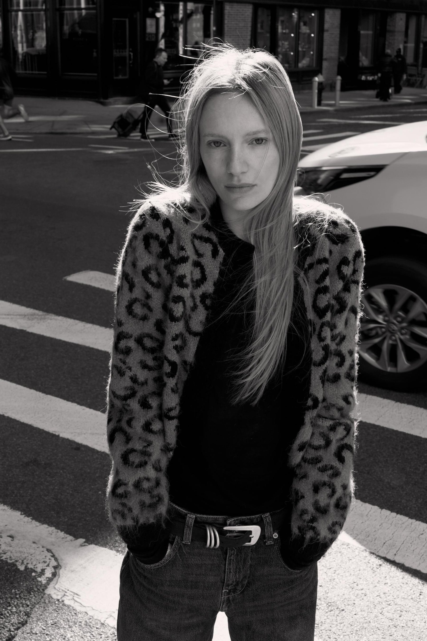 Knit Jacquard Cardigan