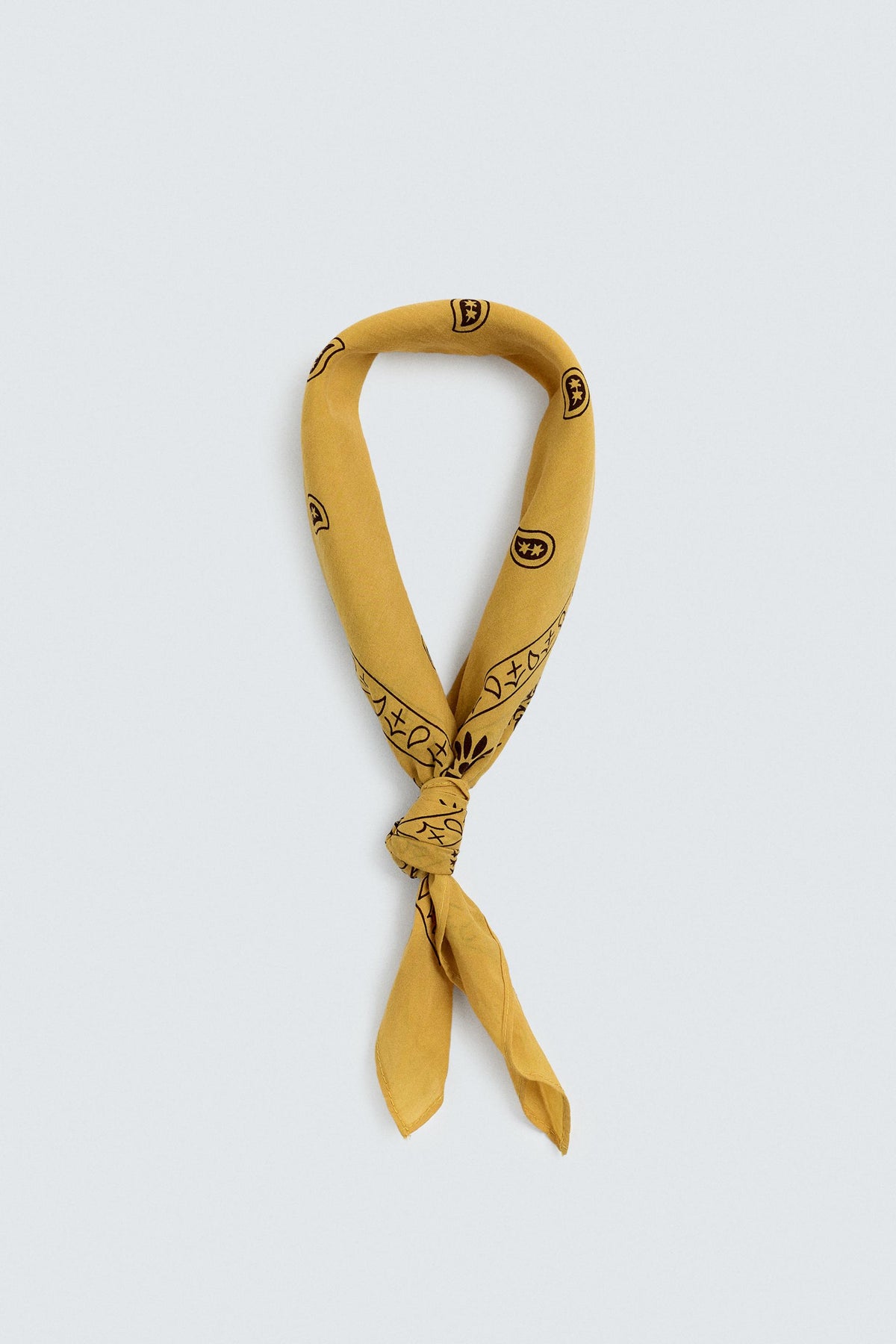 PAISLEY PRINT BANDANA - Image 2