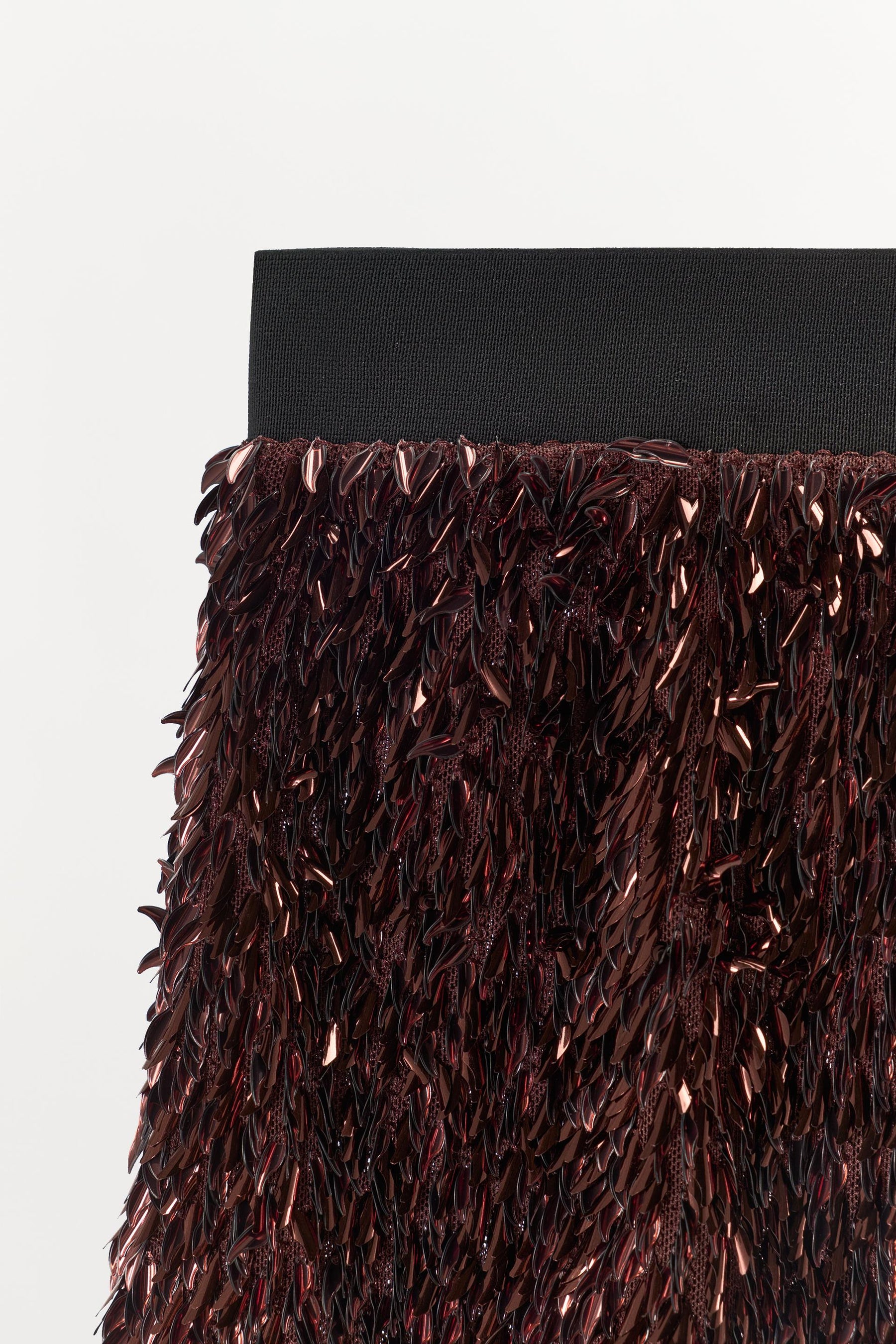 Sequin Shorts with Contrast